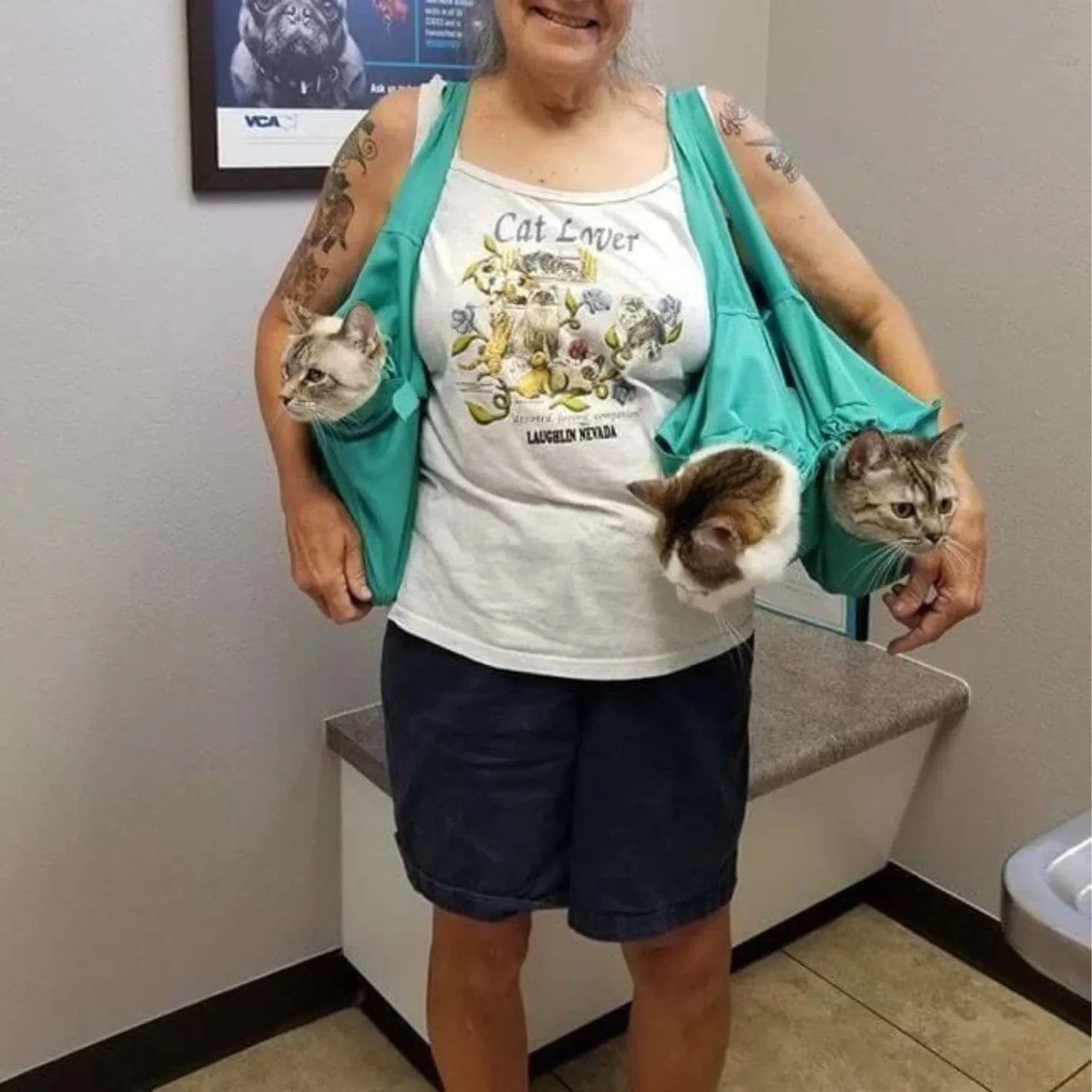 (Nordibox - Sac confortable pour chat)