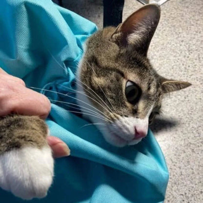 (Nordibox - Sac confortable pour chat)